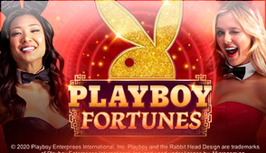 Playboy Fortunes Playboy Fortunes